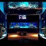 Electric City Aquarium & Reptile Den