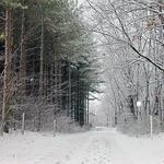 Rock Springs Conservation Area
