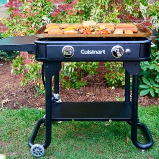 Outdoor Gas Griddle Folds Flat