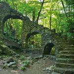 Madame Sherri Forest