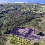 Loaloa Heiau