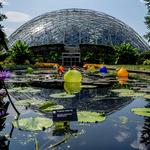 Missouri Botanical Garden