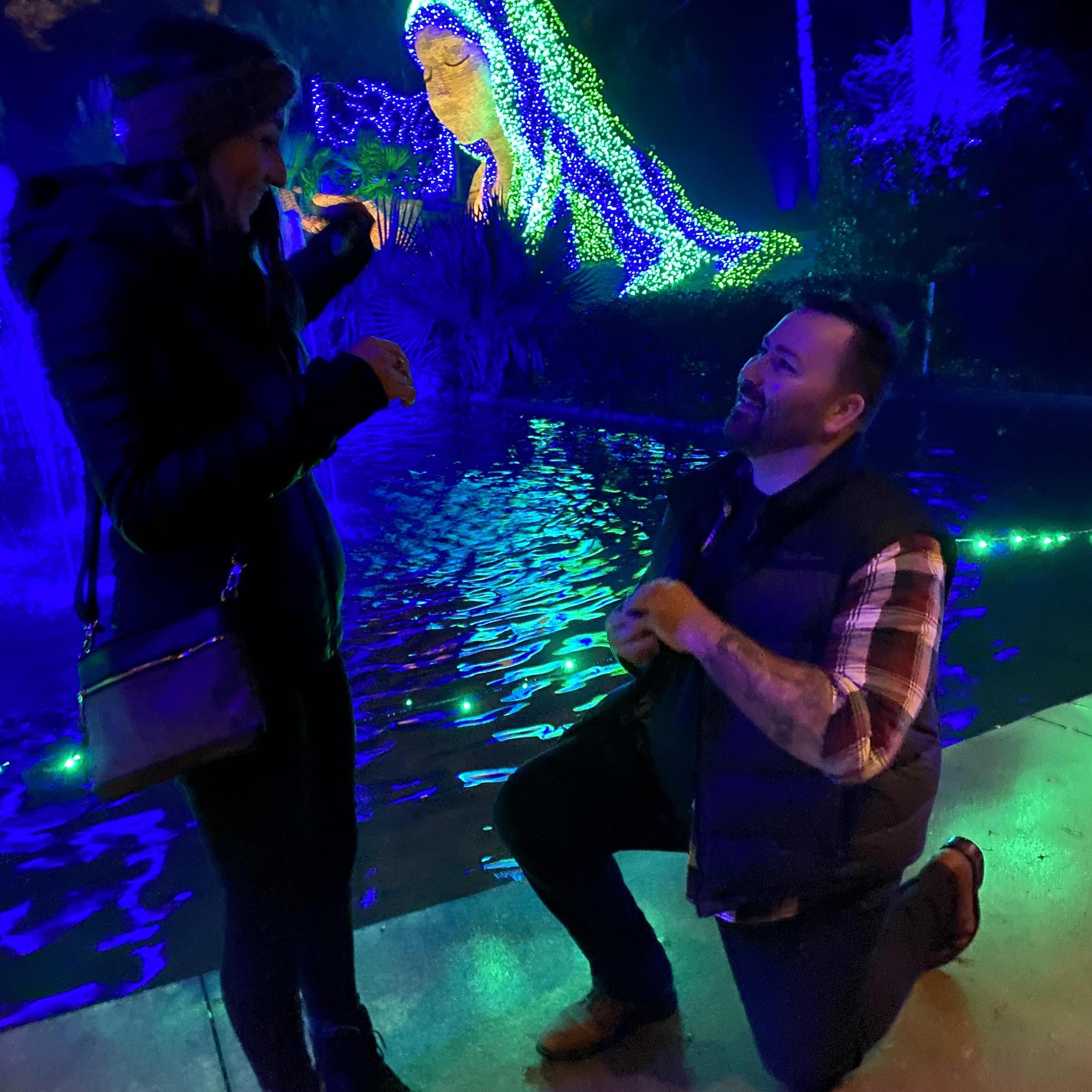 The proposal!! - December 12, 2020