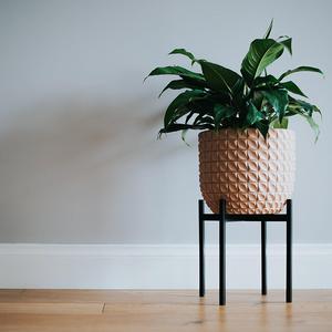 Plant Stand for Indoor and Outdoor Pots - Black, Metal Potted Plant Holder for House, Garden & Patio - Sturdy, Galvanized Steel Pot Stand with Stylish Mid-Century Design, Medium - By Thorne & Co.