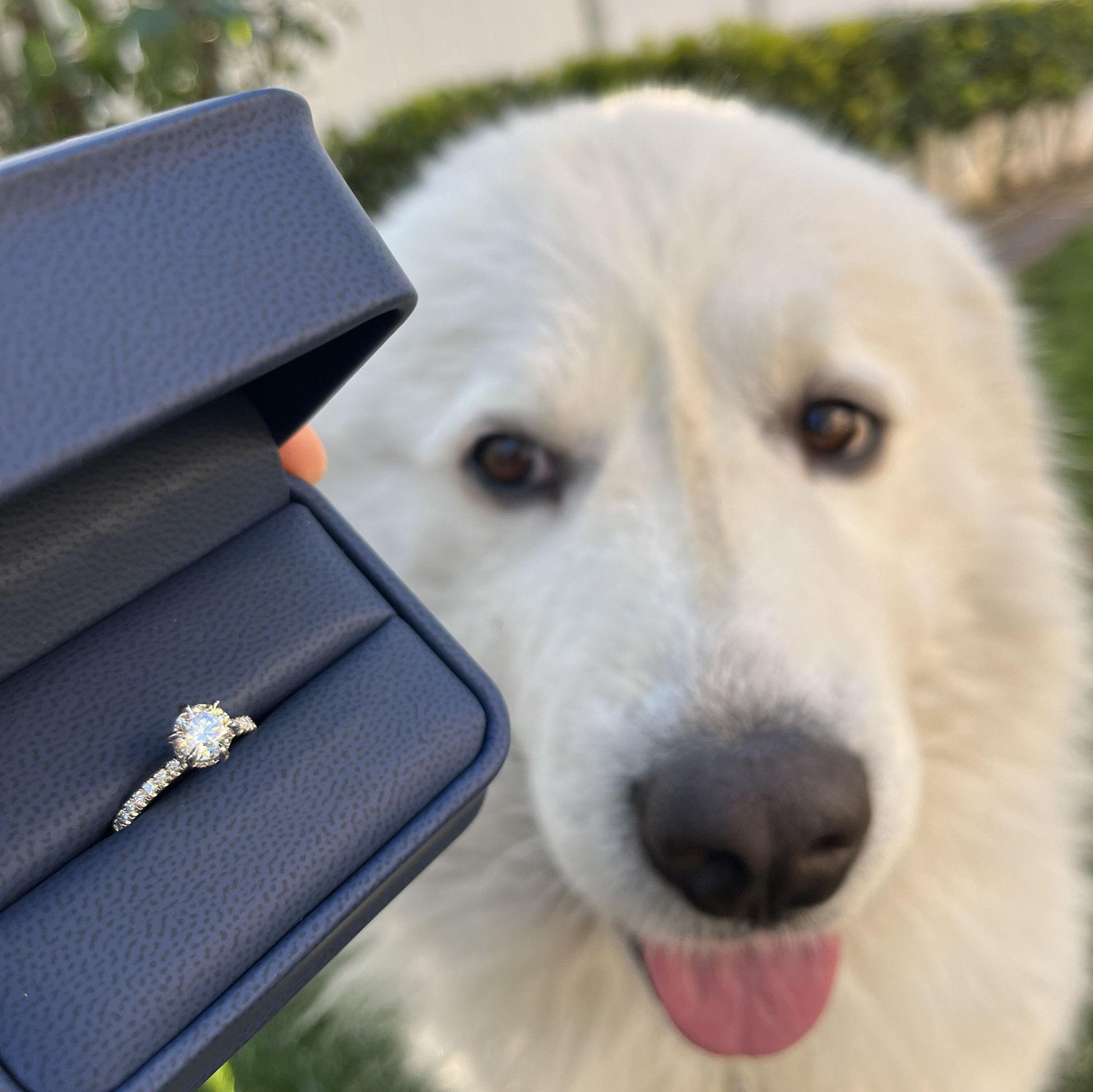 Maki approved of the ring