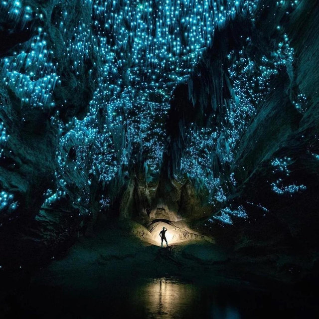 Honeymoon Glow Worm Cave Adventure