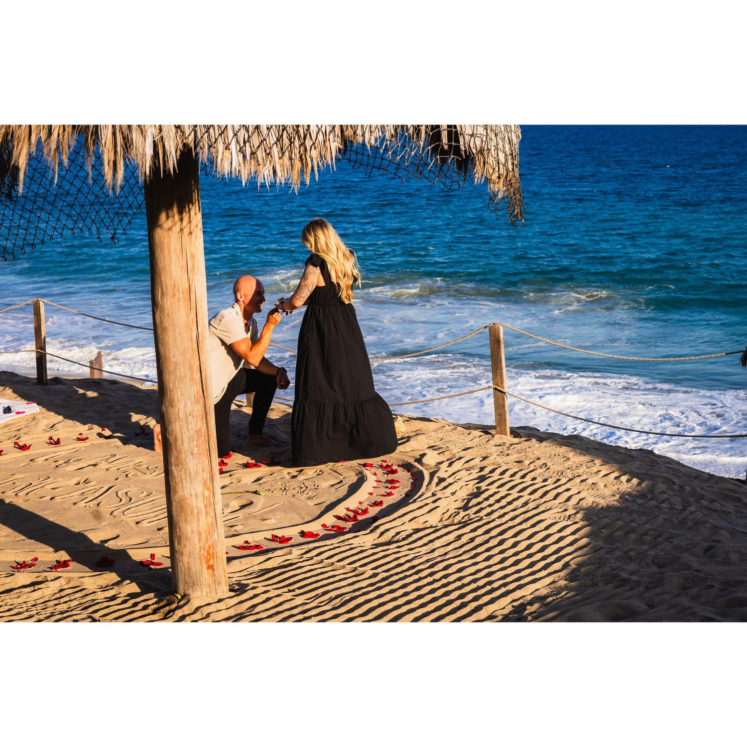 The Proposal