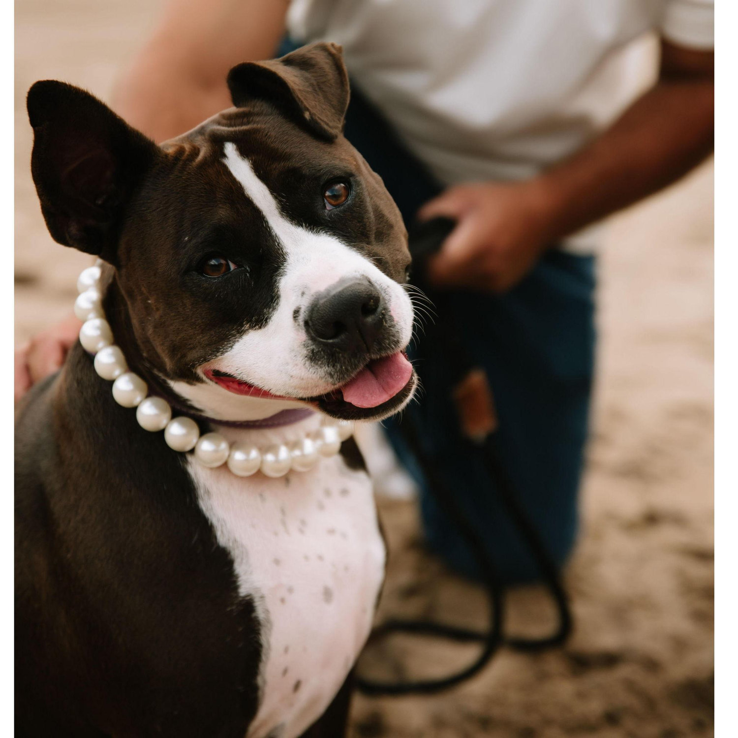 Our baby!