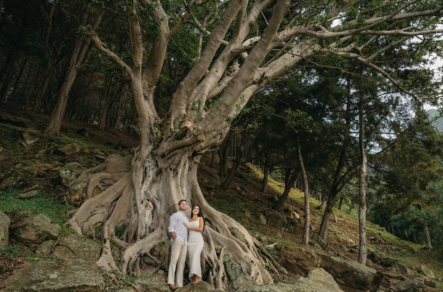 The Wedding Website of Olivia Cordero and James Abbott