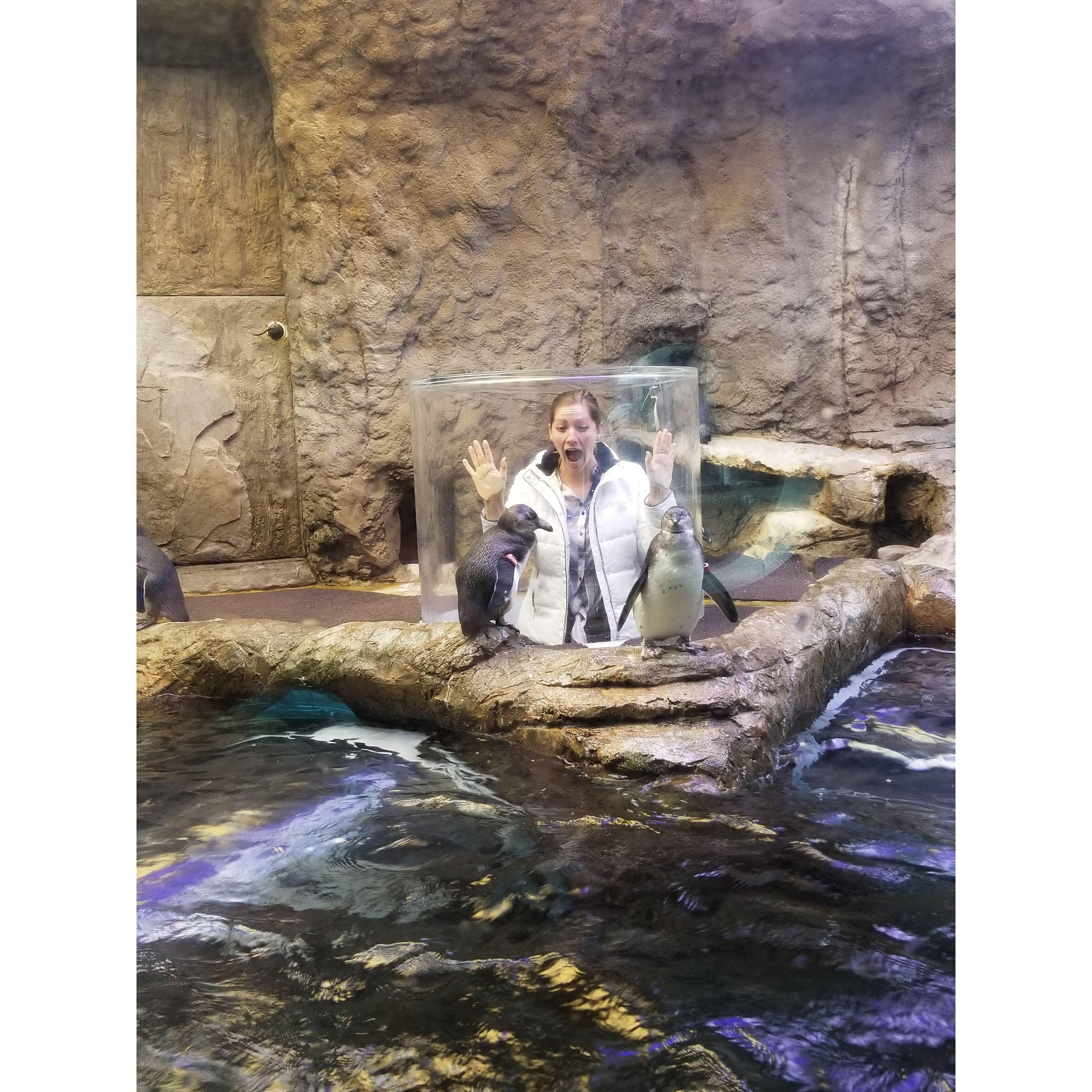 Trip to Gatlinburg and Nashville.