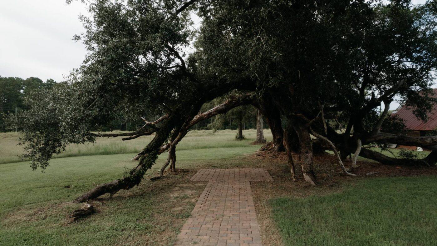The Wedding Website of Elana Bailey and Gage Maynard