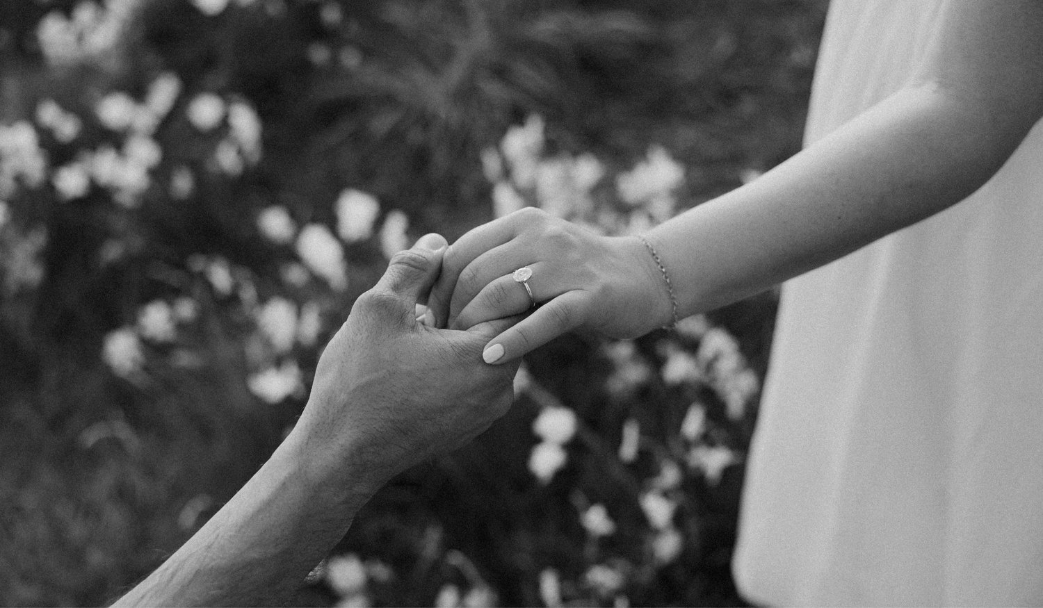 The Wedding Website of Alexis Pisanelli and Andrew Paniccia