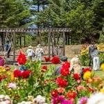 Mendocino Coast Botanical Gardens