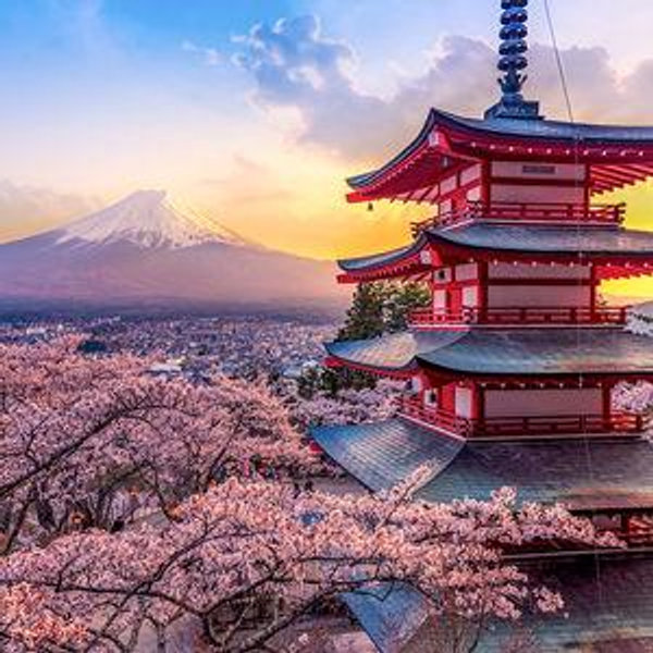 Trip to Japan