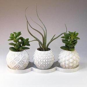 MeshCloud - mini planter gift box succulent planters set small indoor plant pot terrarium centerpiece - ceramic planter ALTERNATIVE - PLASTIC