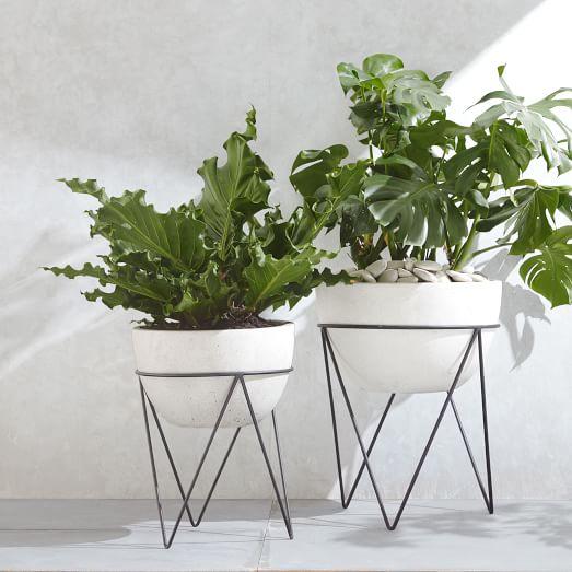 Iris Planter + Chevron Stand - Medium Size