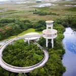 Shark Valley - Everglades National Park