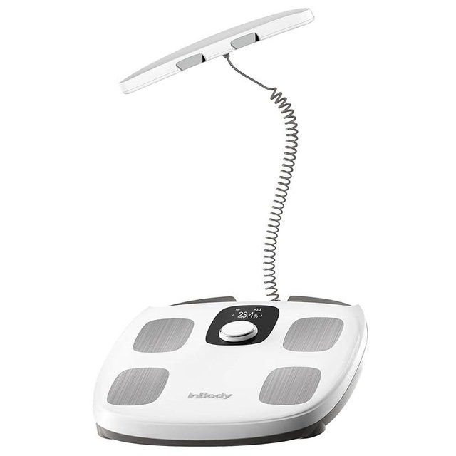 InBody Dial H30 Body Composition Scale | Smart Scale with BMI, Body Fat, Muscle Mass | Scale with App | Body Fat Measurement Device