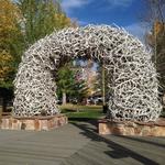 Antler Arches of Jackson