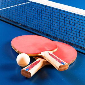 Ping Pong Lessons for Ariana