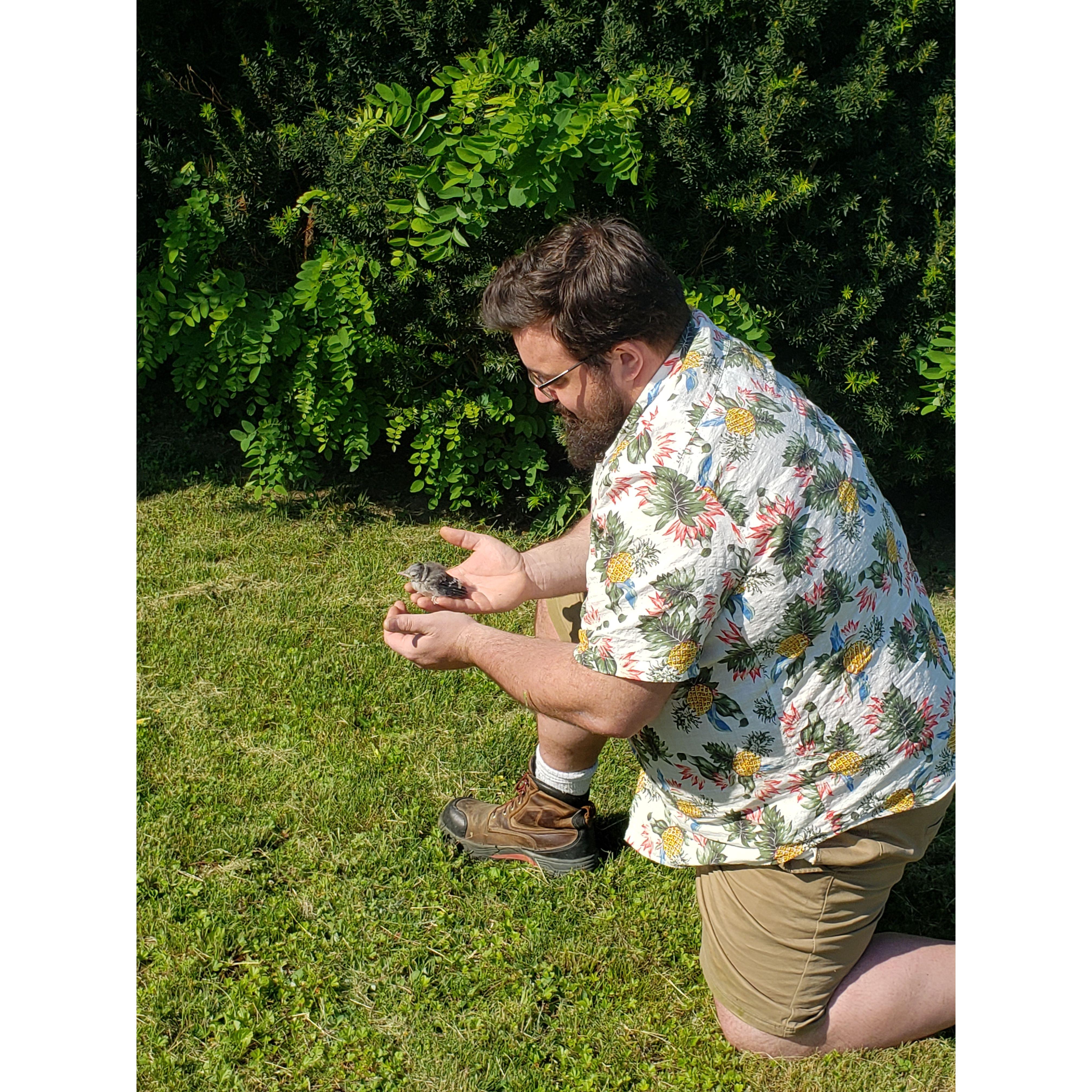 Caring Jay - Teaching Walter the BlueJay How to Fly