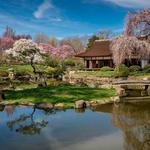 Shofuso Japanese Cultural Center