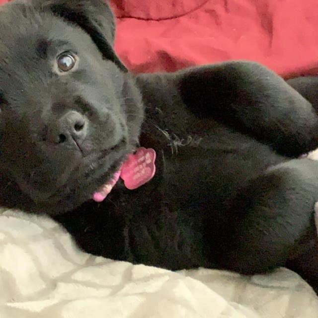 Kiwi needs to be spoiled too!