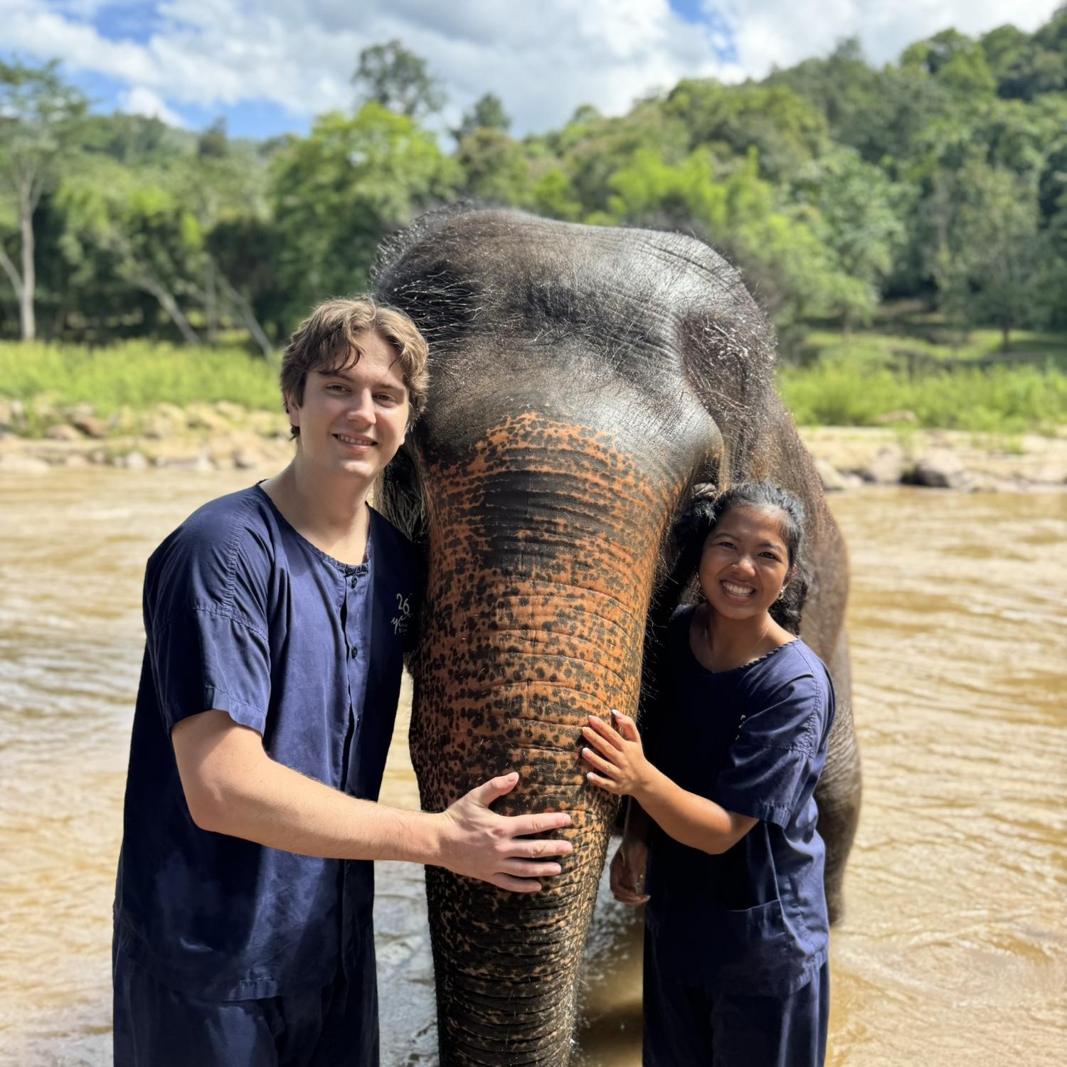 Thai Elephants 2025