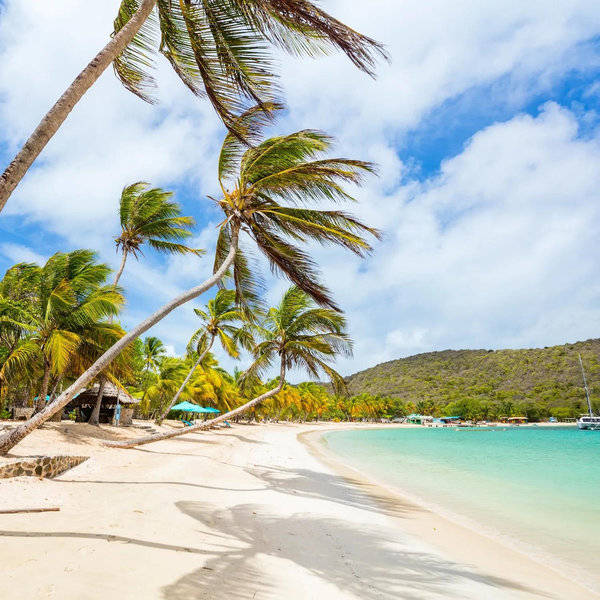 Honeymoon Fund - Sandals St. Vincent and the Grenadines