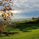 Parc naturel régional du Morvan