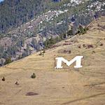The M