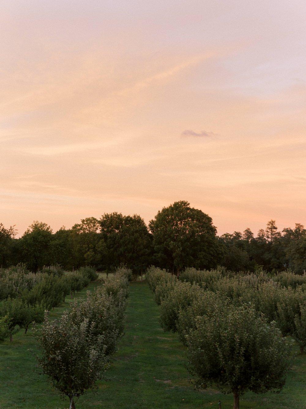 The Wedding Website of Kathleen Squeri and Steven Benkovsky