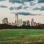 Zilker Metropolitan Park
