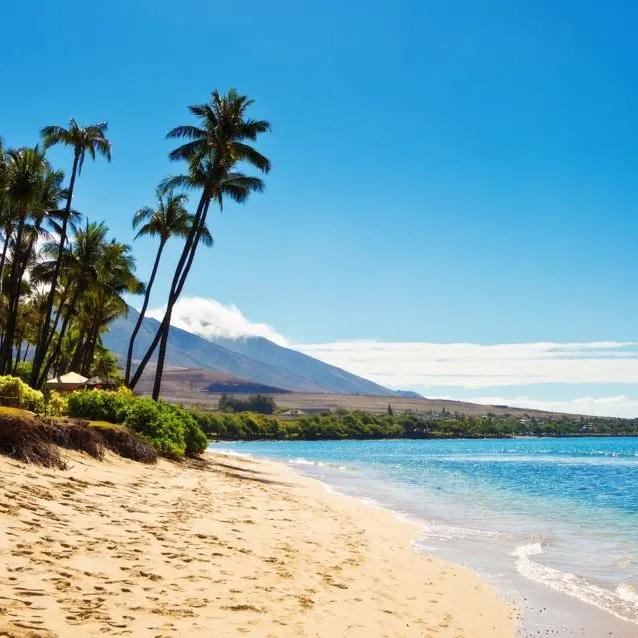 Our Hawaiian Honeymoon Fund