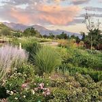 Red Butte Garden and Arboretum