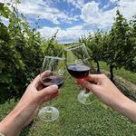 Newport Vineyards & Restaurant