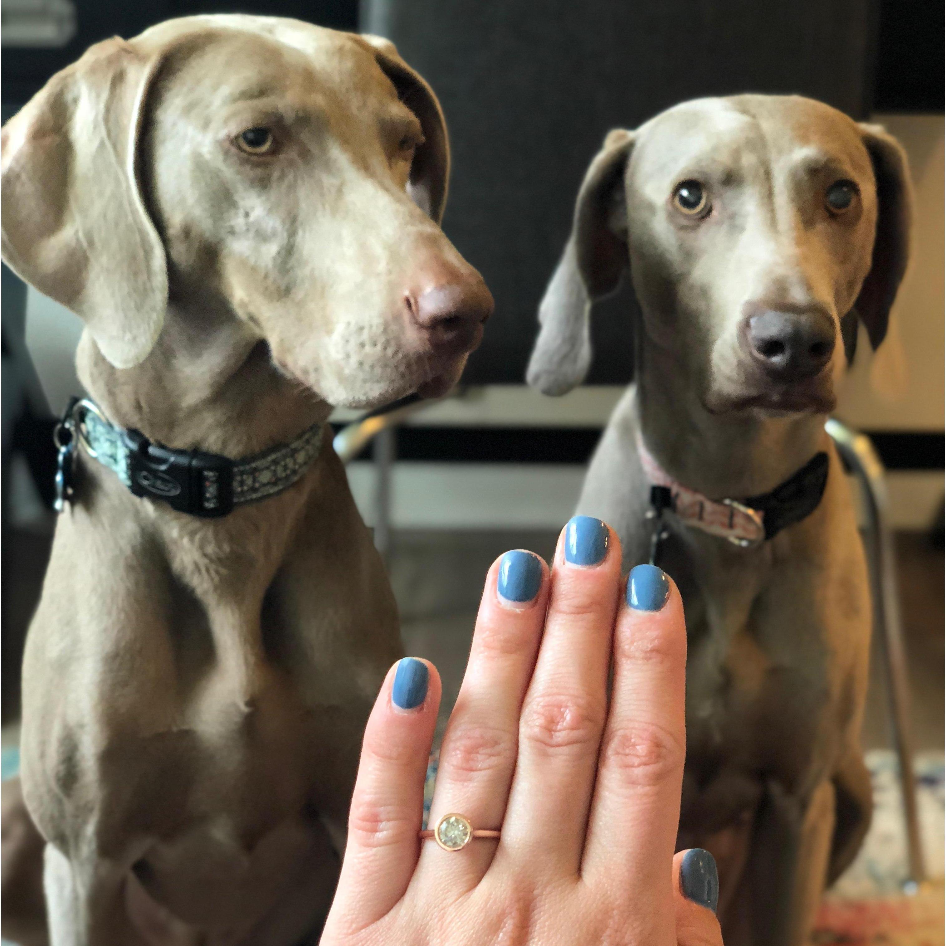 Showing the girls the ring!