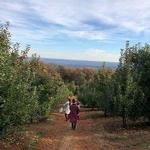 Carters Mountain