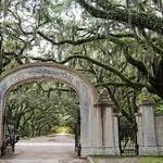 Wormsloe Historic Site