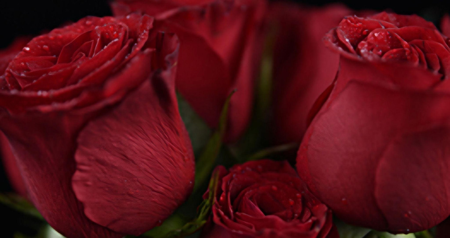 The Wedding Website of Willie Tuck and Ashley Young