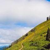Dog Mountain
