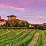 Wise Villa Winery & Restaurant