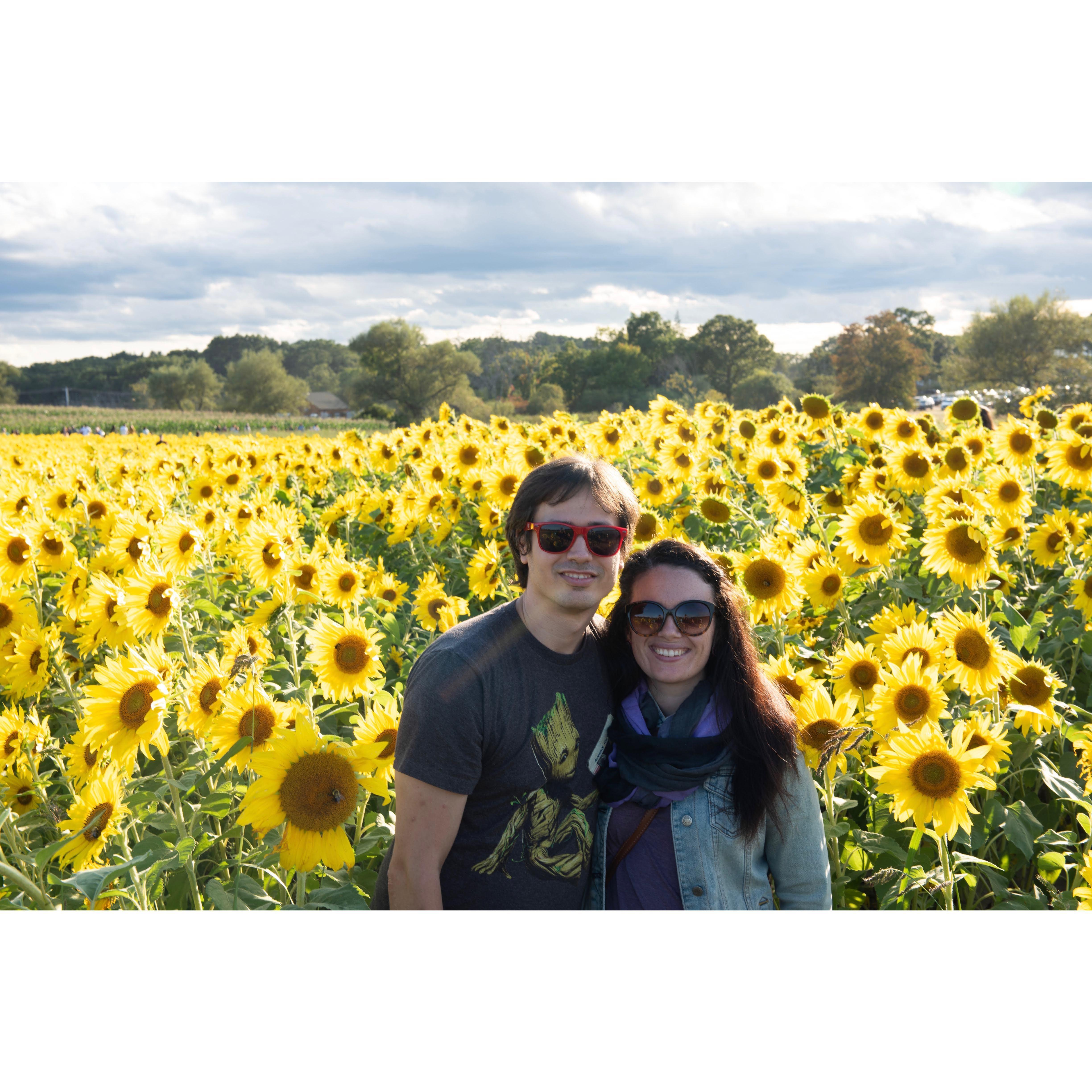 Since our first year of dating, we've never missed the opportunity to venture out to a local sunflower field.