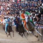 Il Palio