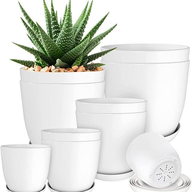 Utopia Home Plant Pots Indoor with Drainage - Pack of 10 Decorative Flower Pots for Indoor Plants - White Plastic Planters for Indoor Plants, Flowers, Cactus, Succulents Pot