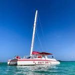 Salty Dog Catamaran