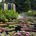 Denver Botanic Gardens