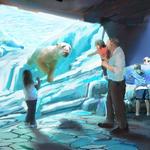 Saint Louis Zoo