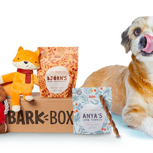 Bark Box (for Maybe!)