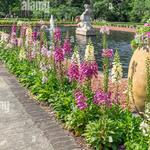 Brookgreen Gardens